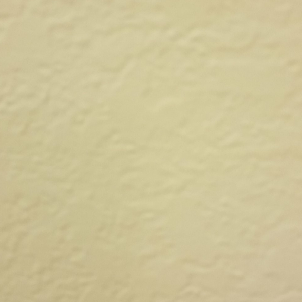 Meet your Posher, Sophia